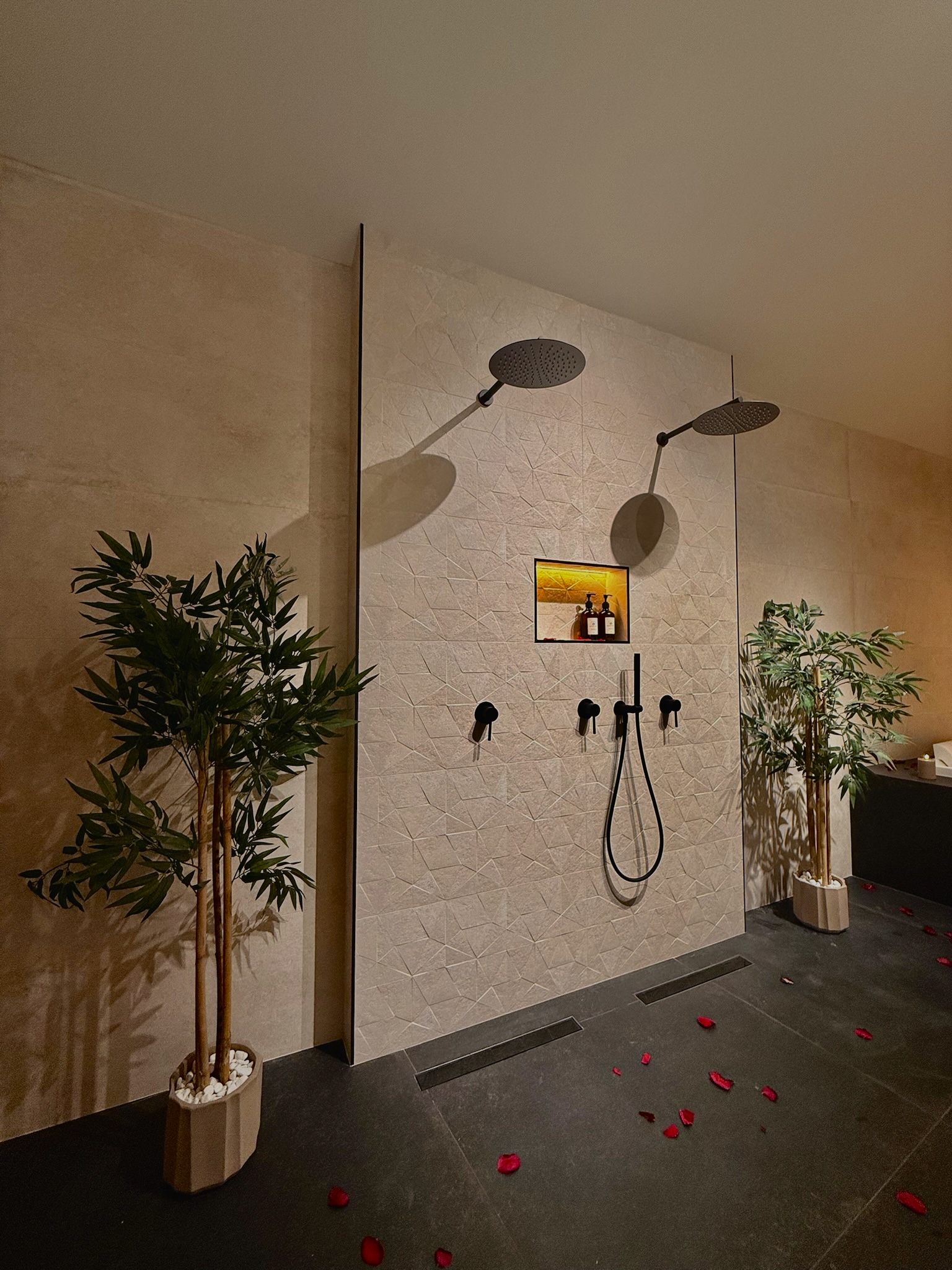 Douche double à deux têtes de pluie — Maison Nina N°4