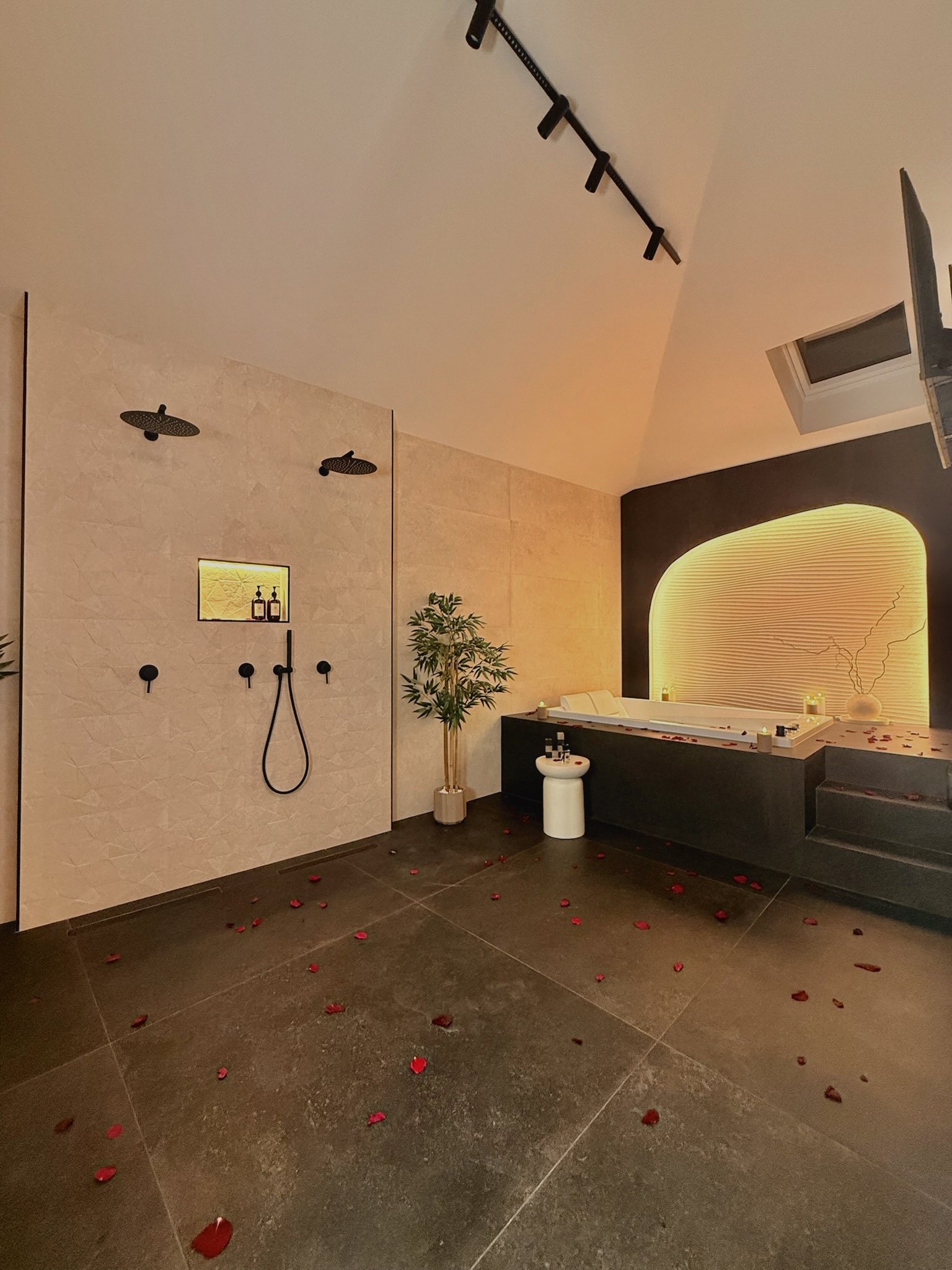Maison Nina N°4 — jacuzzi et douche double à deux têtes de pluie, suite avec spa privatif à Argenteuil